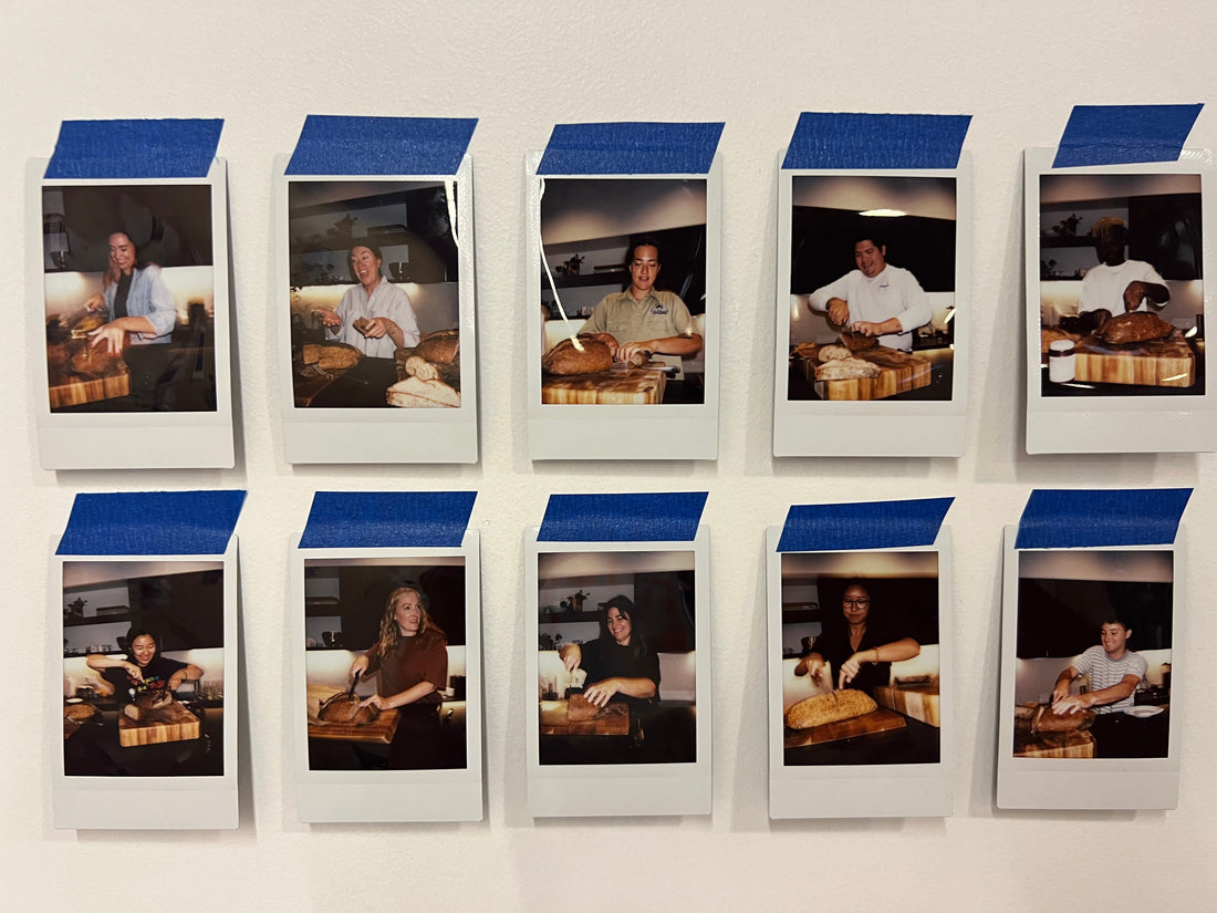 Morinoki Bread Knife