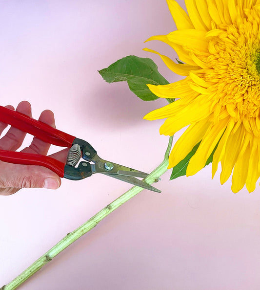 ARS SE45 Floral Shears