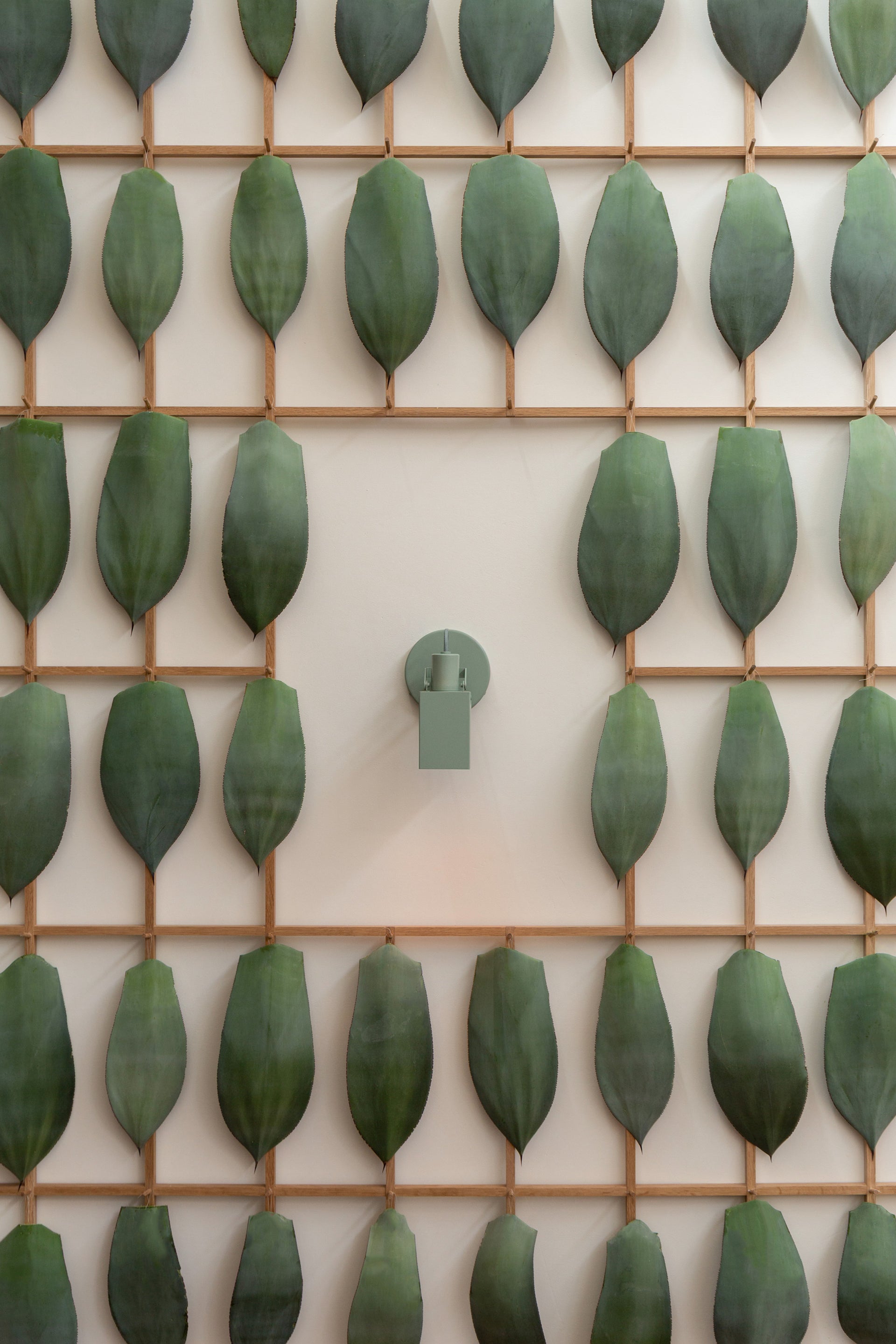 Agave Vertical Lifestyle