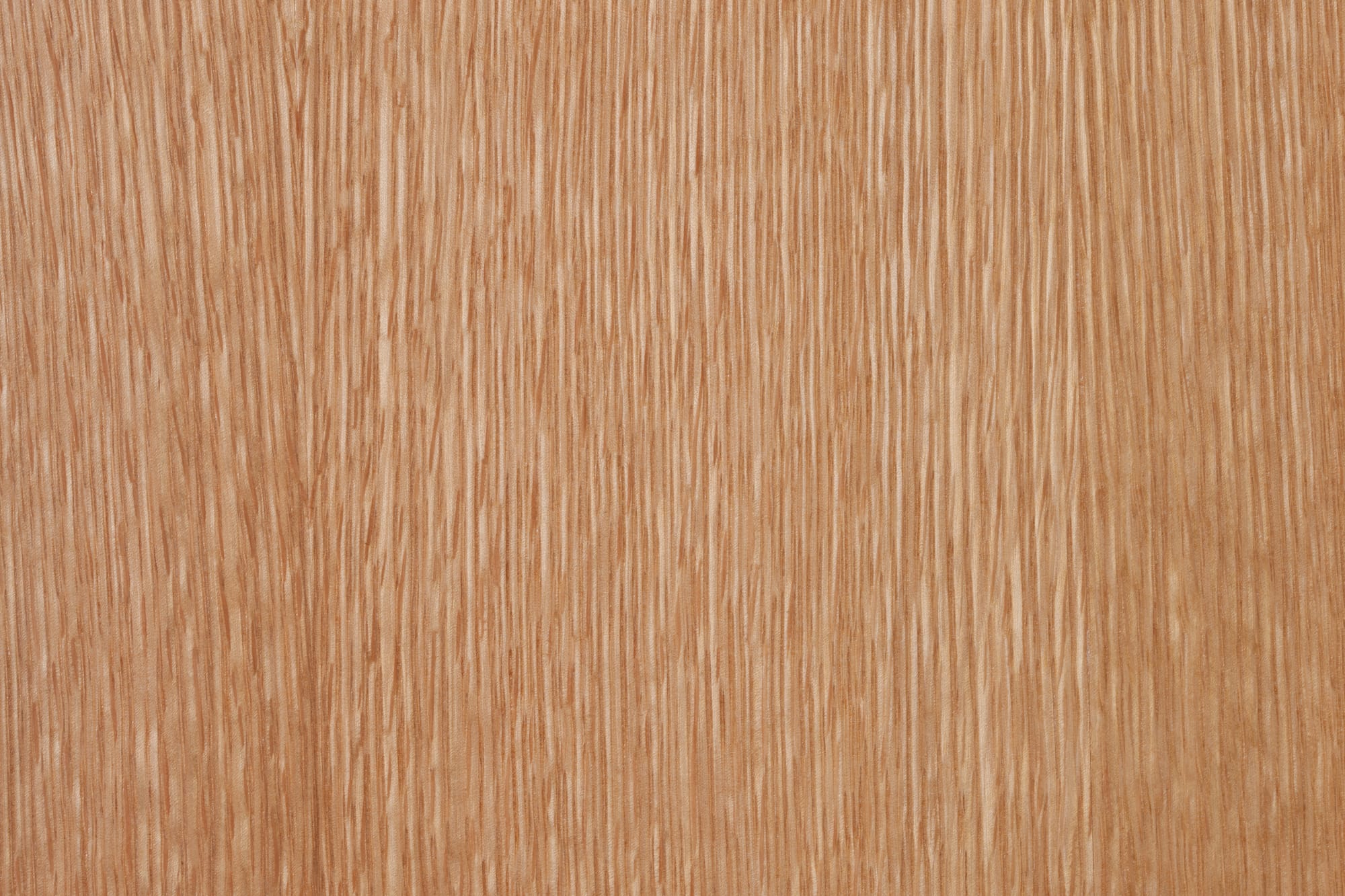 White Oak Oil Ravenhill Studio