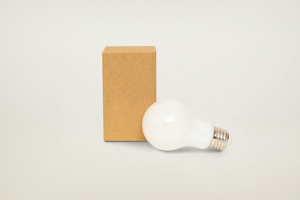 A19 LED Bulb