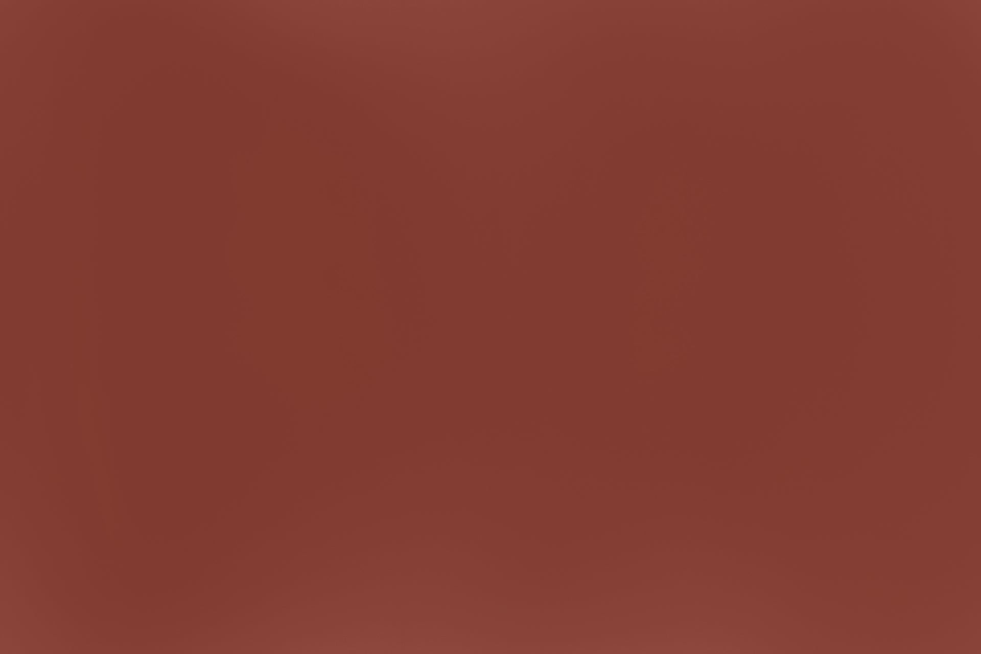 Brick Painted Metal - Brick Painted Metal