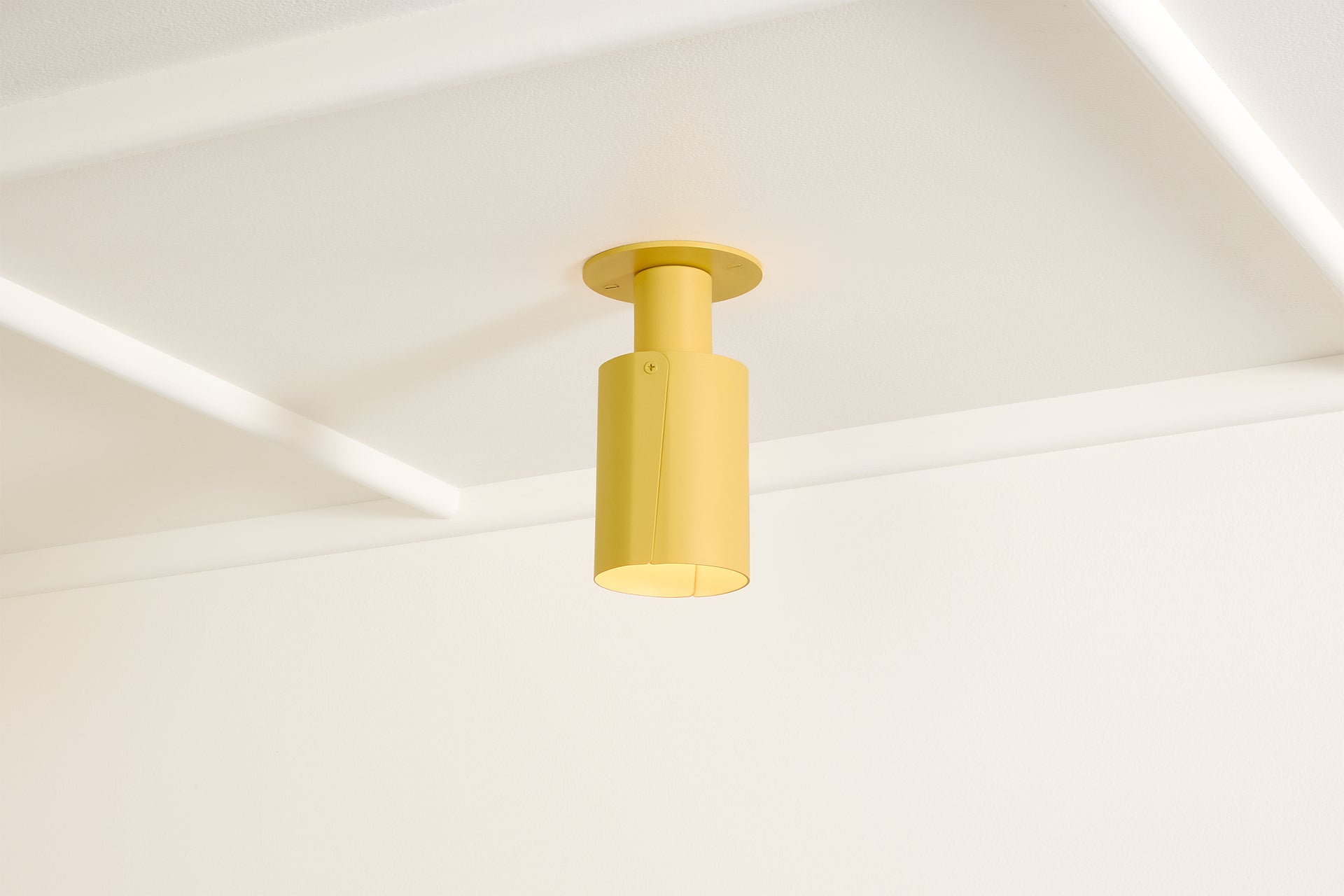 Peek Can - Circle,Beeswax,3.5"