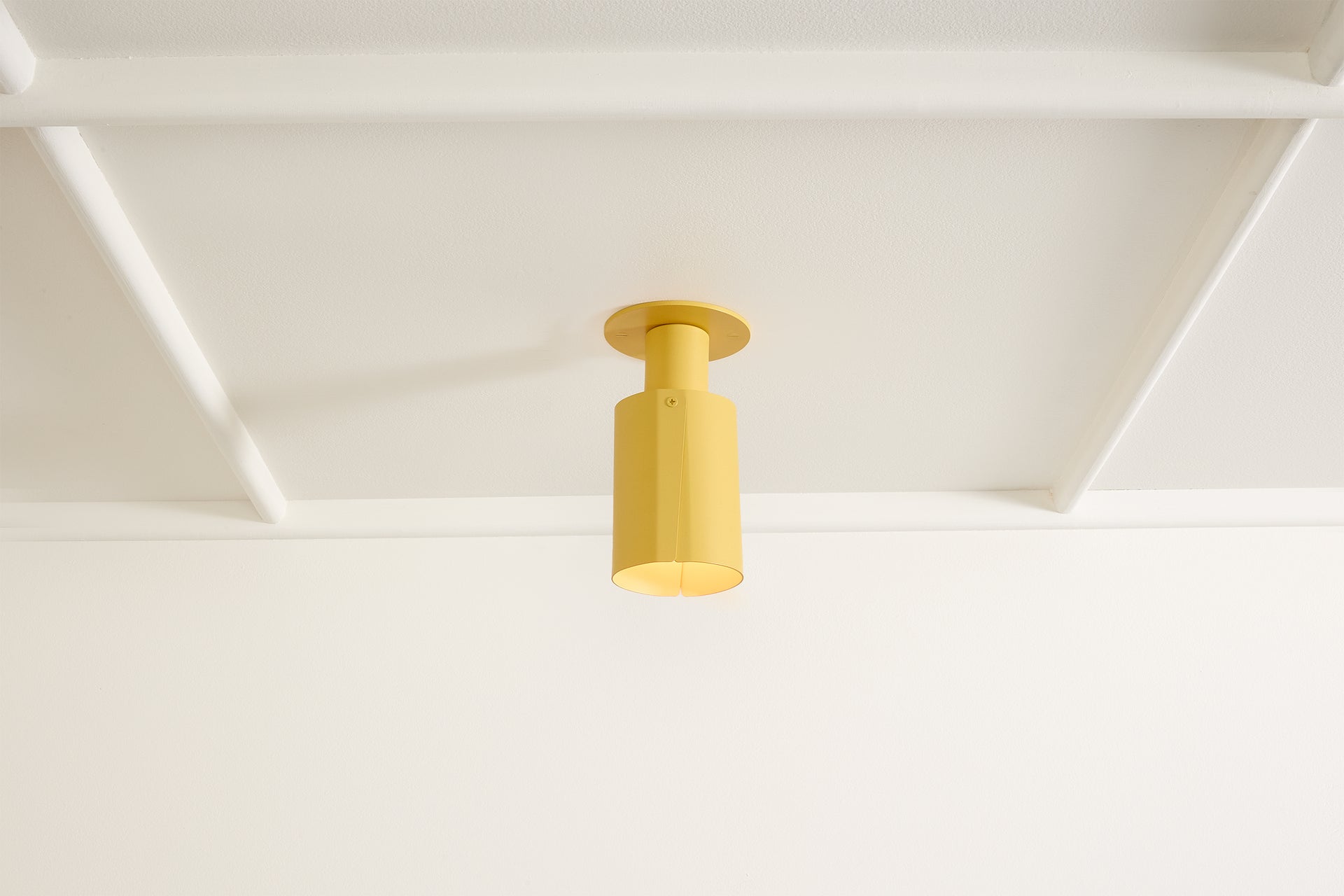 Peek Can - Circle,Beeswax,3.5"