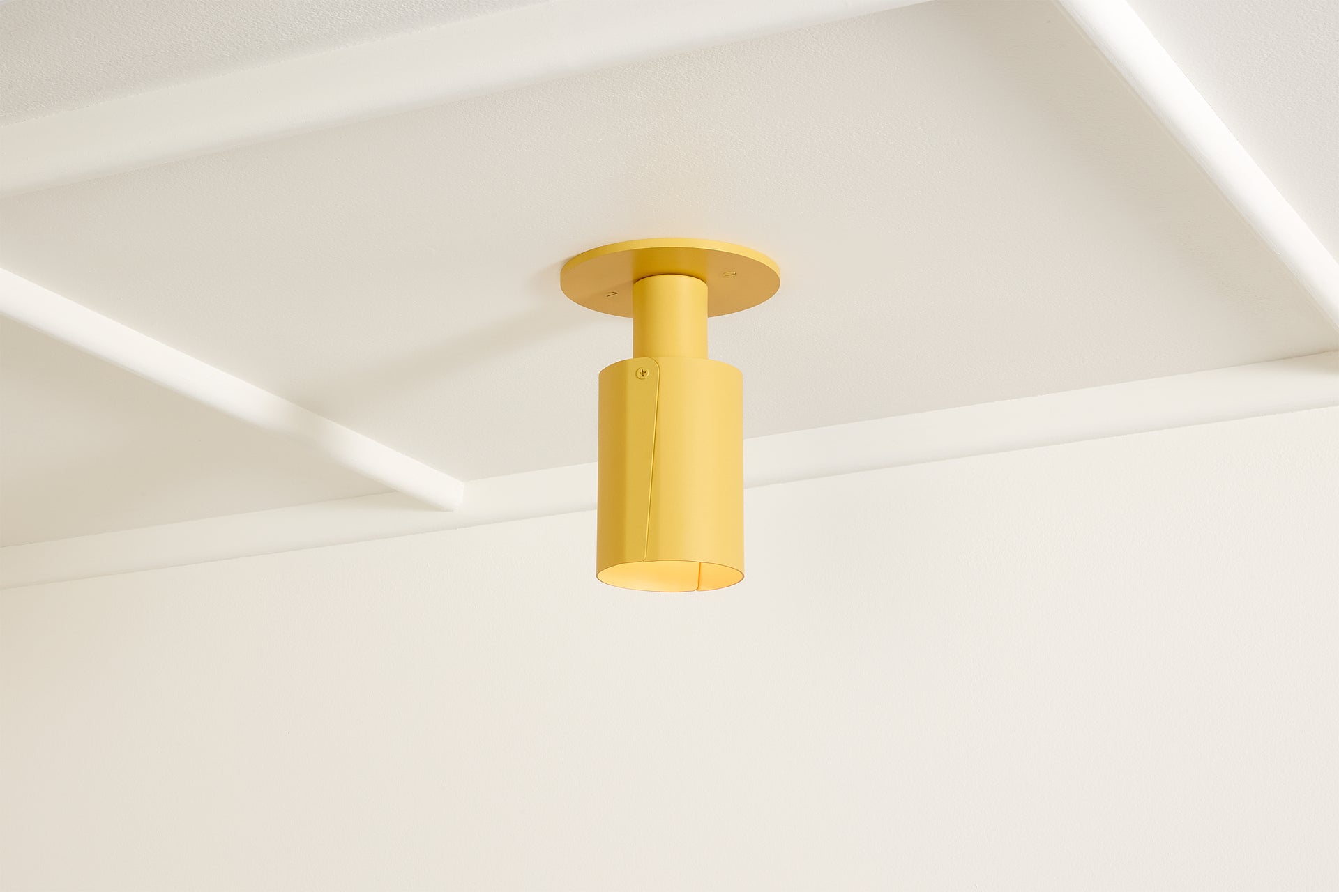 Peek Can - Circle,Beeswax,4.5"