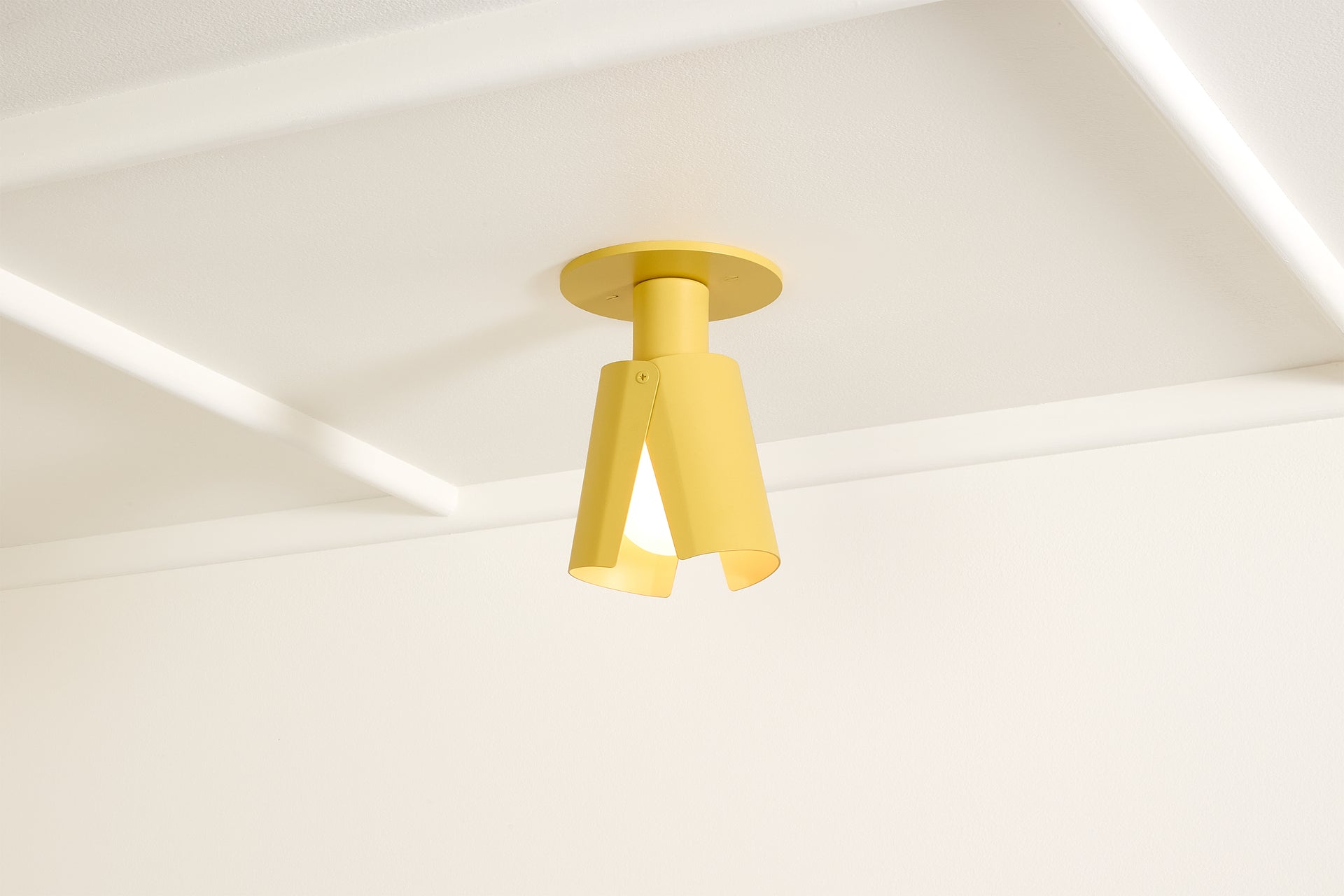 Peek Can - Circle,Beeswax,4.5"