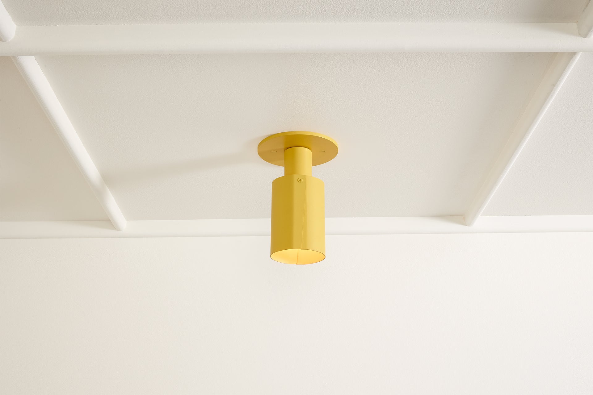 Peek Can - Circle,Beeswax,4.5"