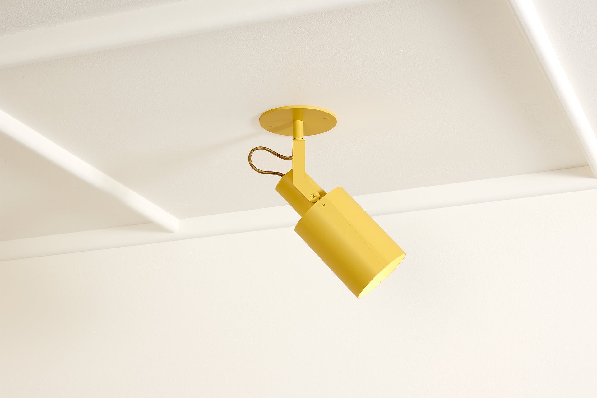 Peek Spot Circle - Beeswax,No Drop